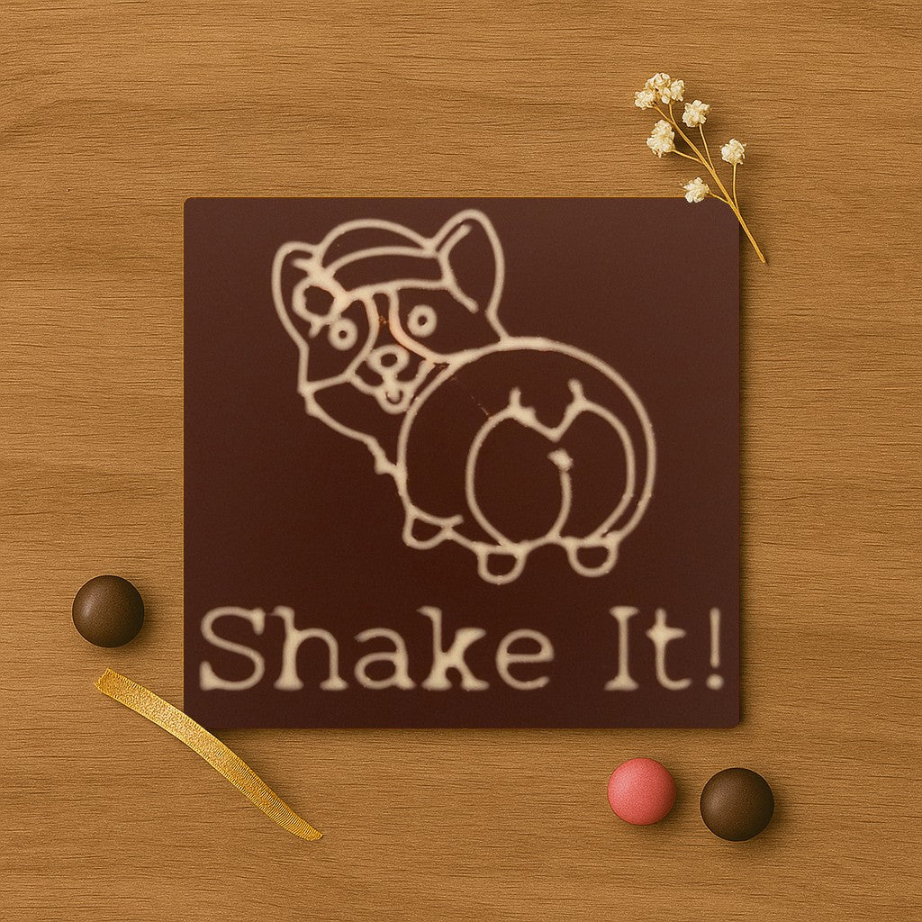 Funny Corgi Shake It!