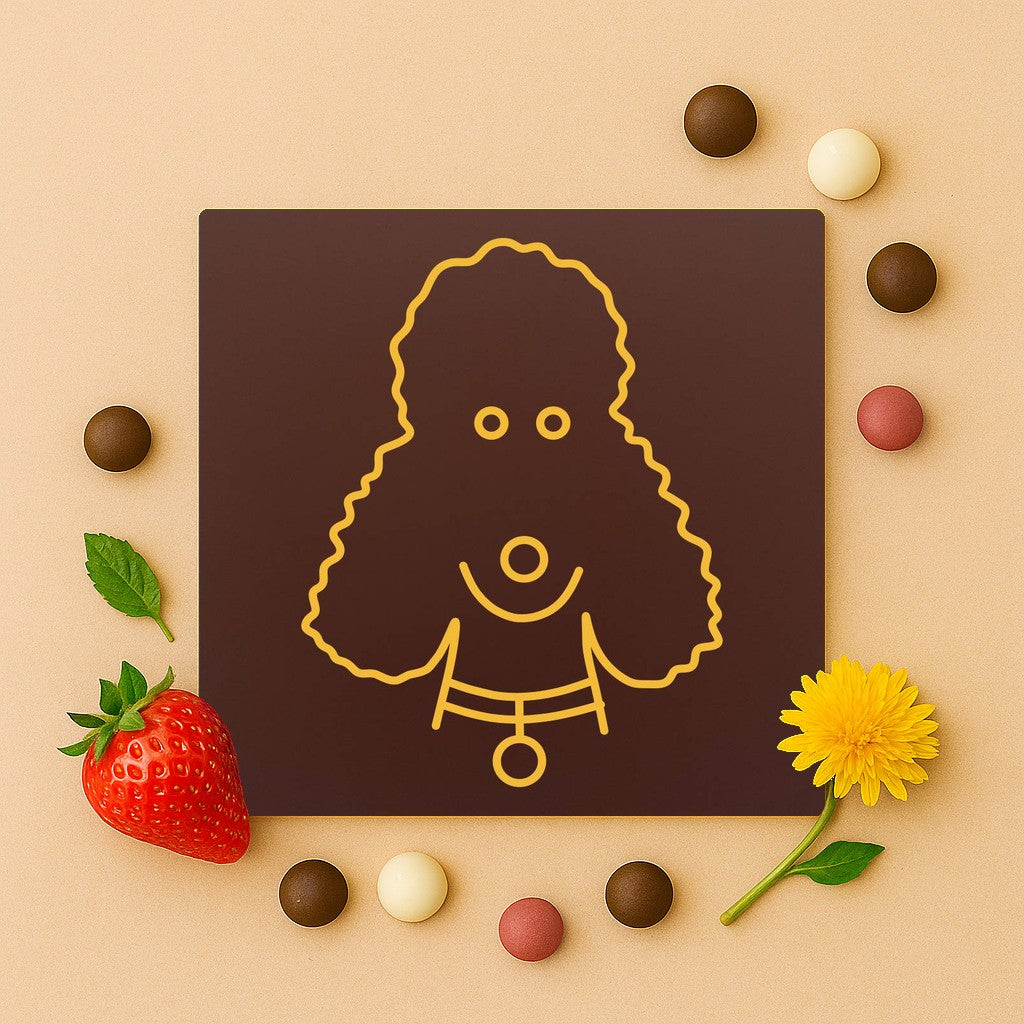 Bichon cret