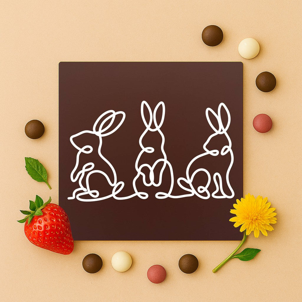 Iepurasi in ciocolata