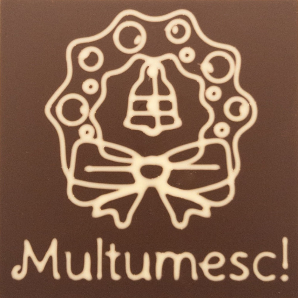 Decoratiune in ciocolata. Multumesc!