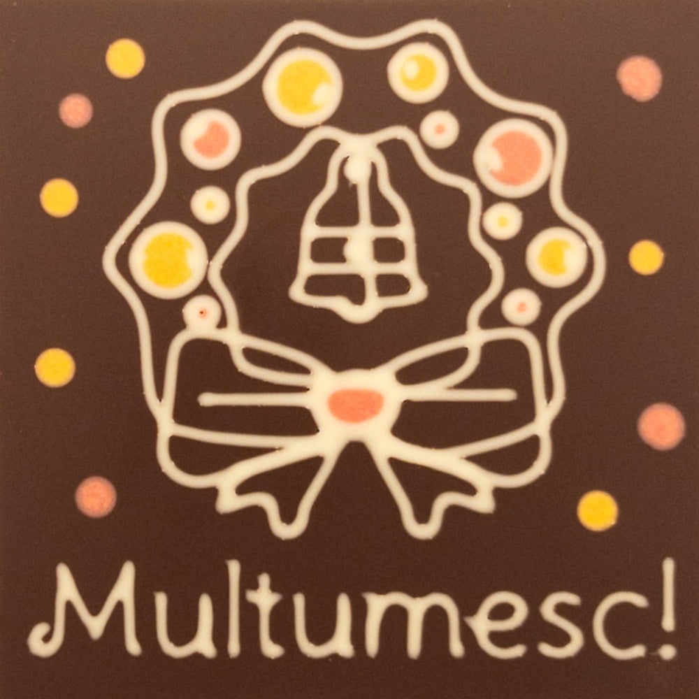 Decoratiune in ciocolata. Multumesc!