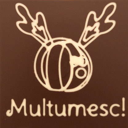 Funky Reindeer Multumesc!