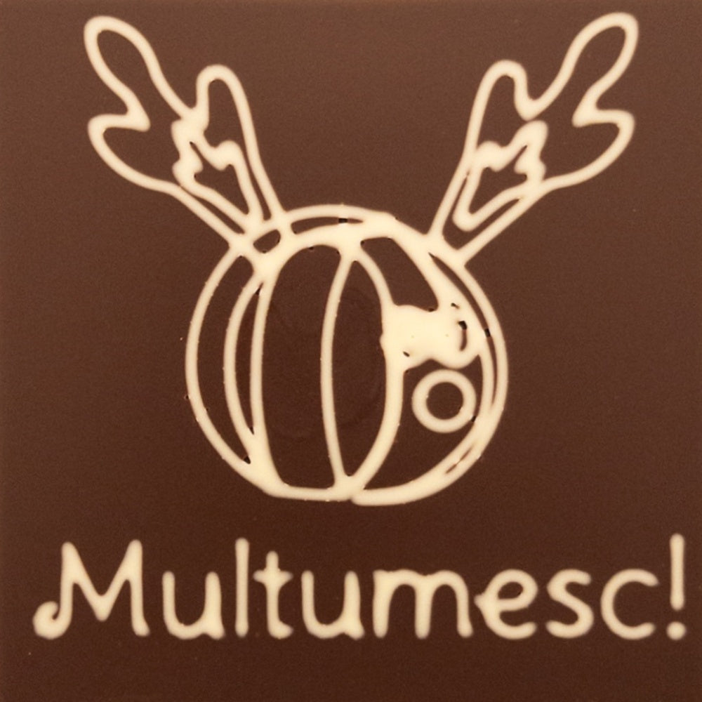 Funky Reindeer Multumesc!