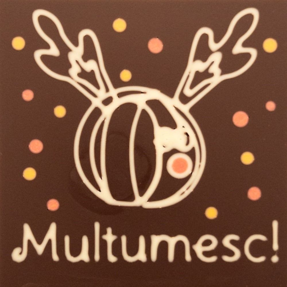 Funky Reindeer Multumesc!