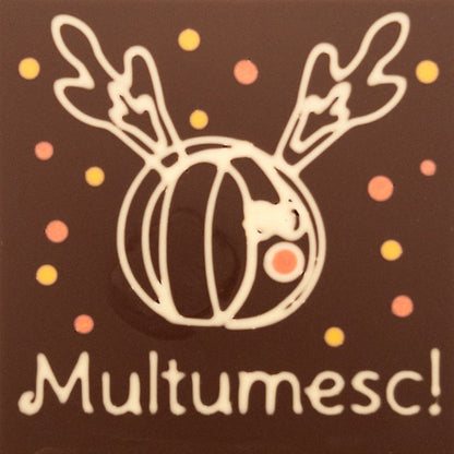 Funky Reindeer Multumesc!