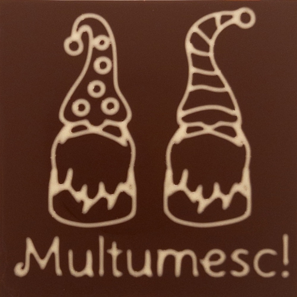 Doi pitici in ciocolata