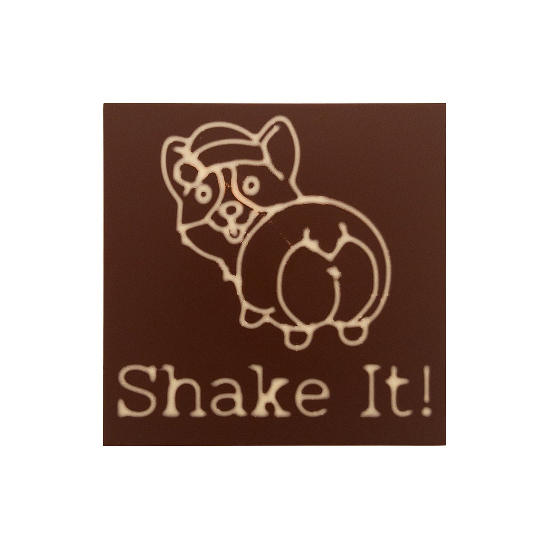 Funny Corgi Shake It!