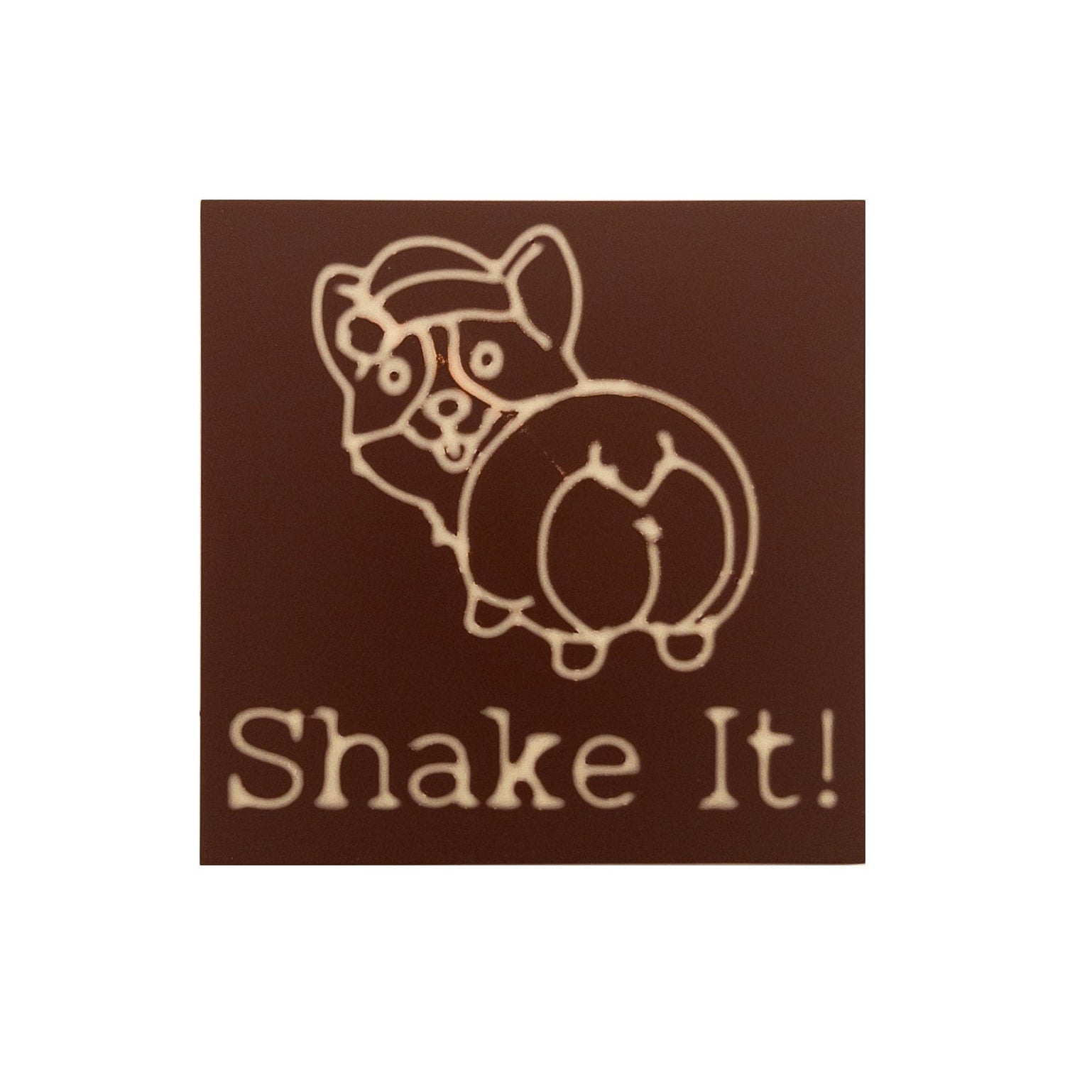 Funny Corgi Shake It!