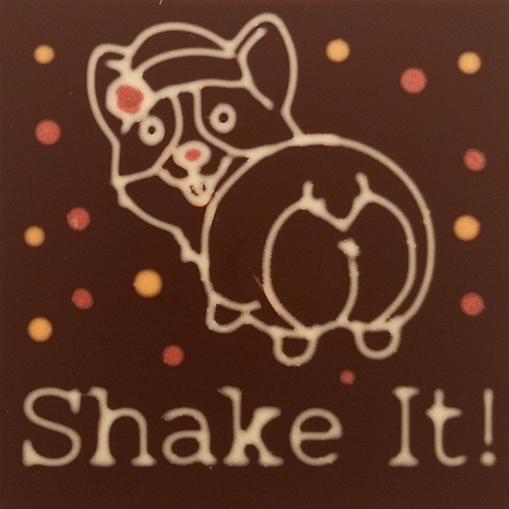 Funny Corgi Shake It!