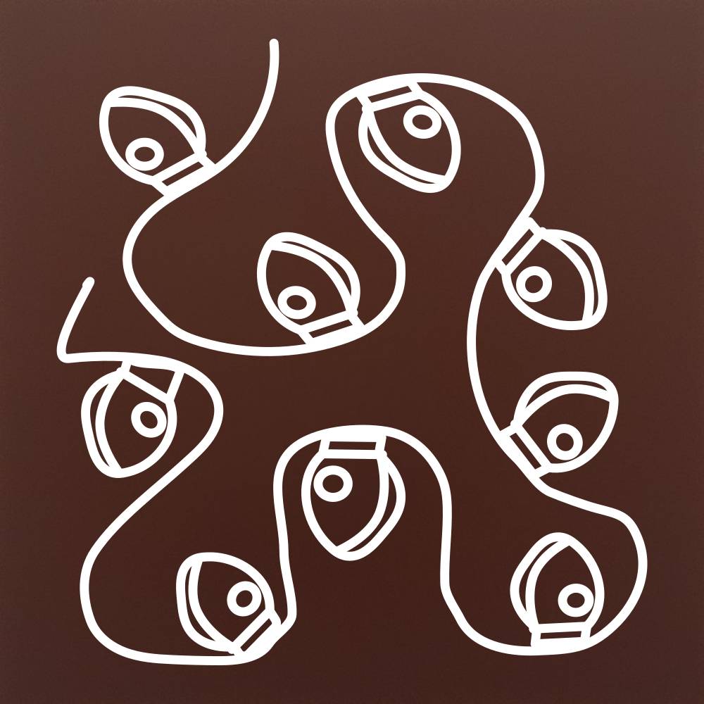 Instalatie luminoasa de Craciun in ciocolata