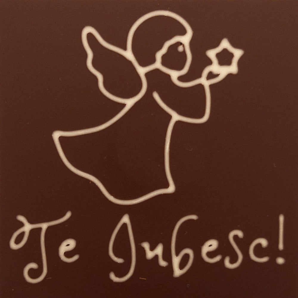 Inger baietel cu o stea Te Iubesc!