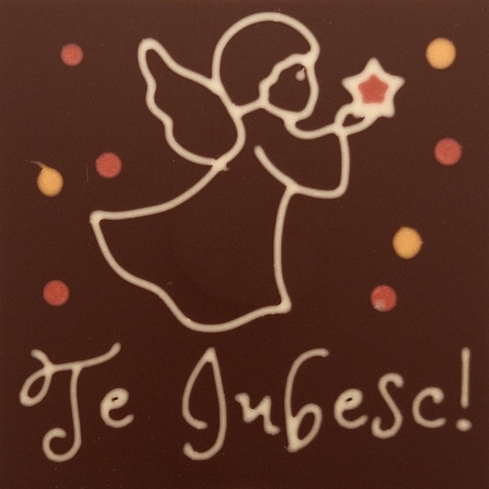 Inger baietel cu o stea Te Iubesc!