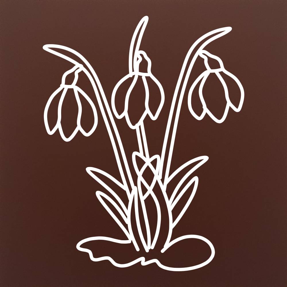 Tableta din ciocolata - Ghiocel buchet cu frunze - model linework