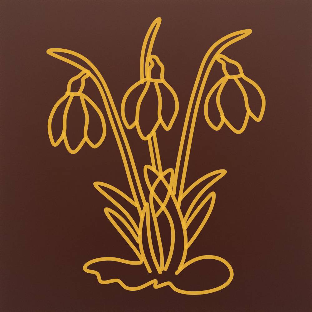 Tableta din ciocolata - Ghiocel buchet cu frunze - model linework