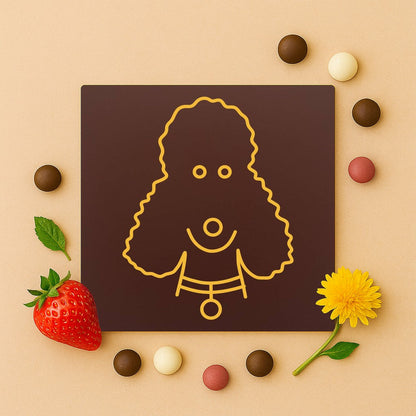 Bichon cret