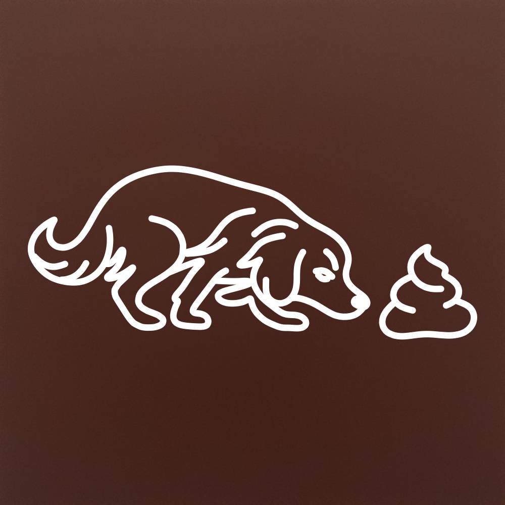 Tableta din ciocolata - Catel curios si... oops - model linework