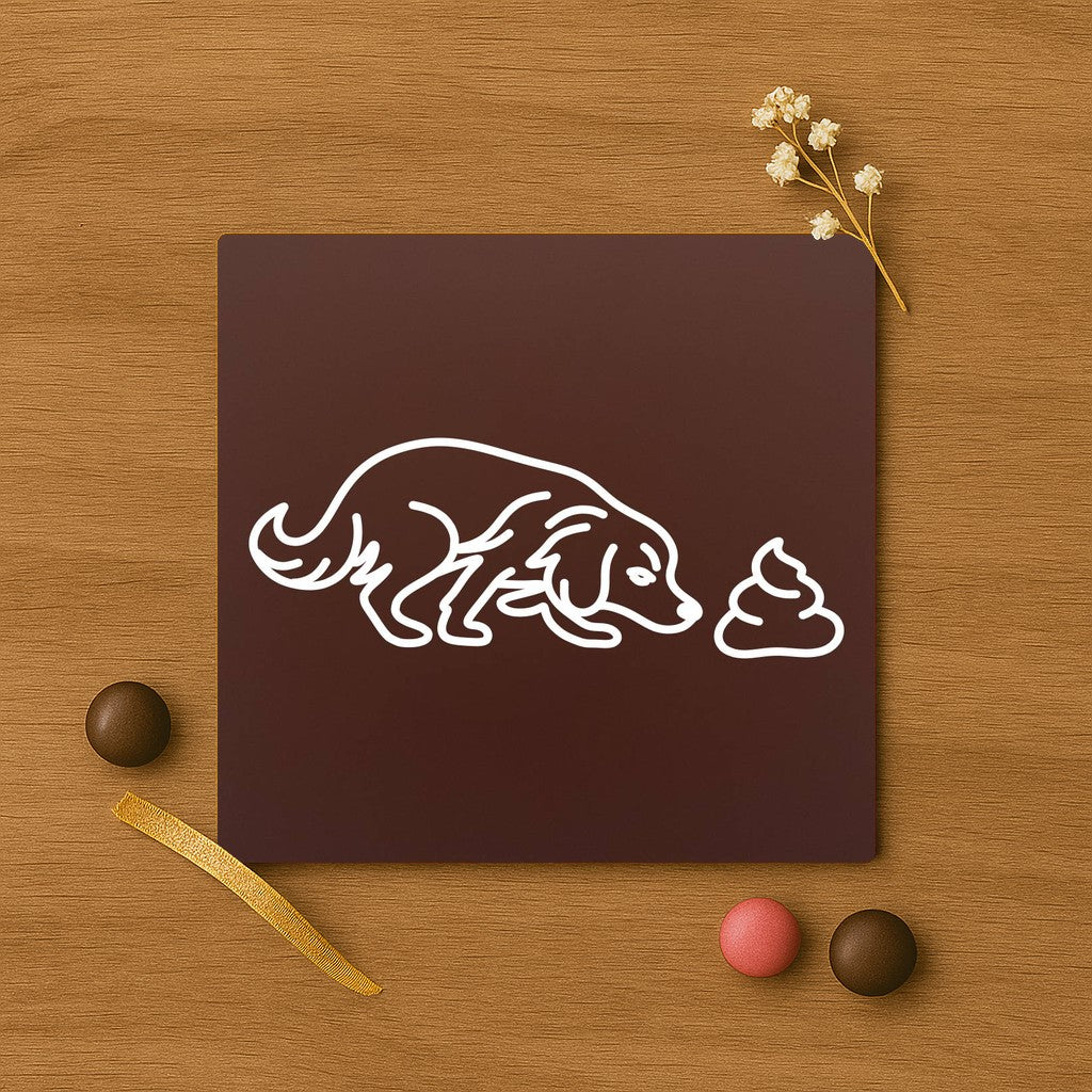 Catel curios si... oops