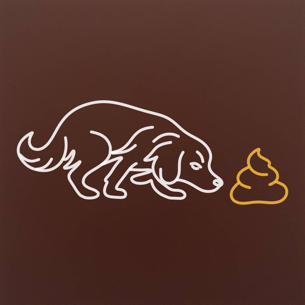 Tableta din ciocolata - Catel curios si... oops - model linework