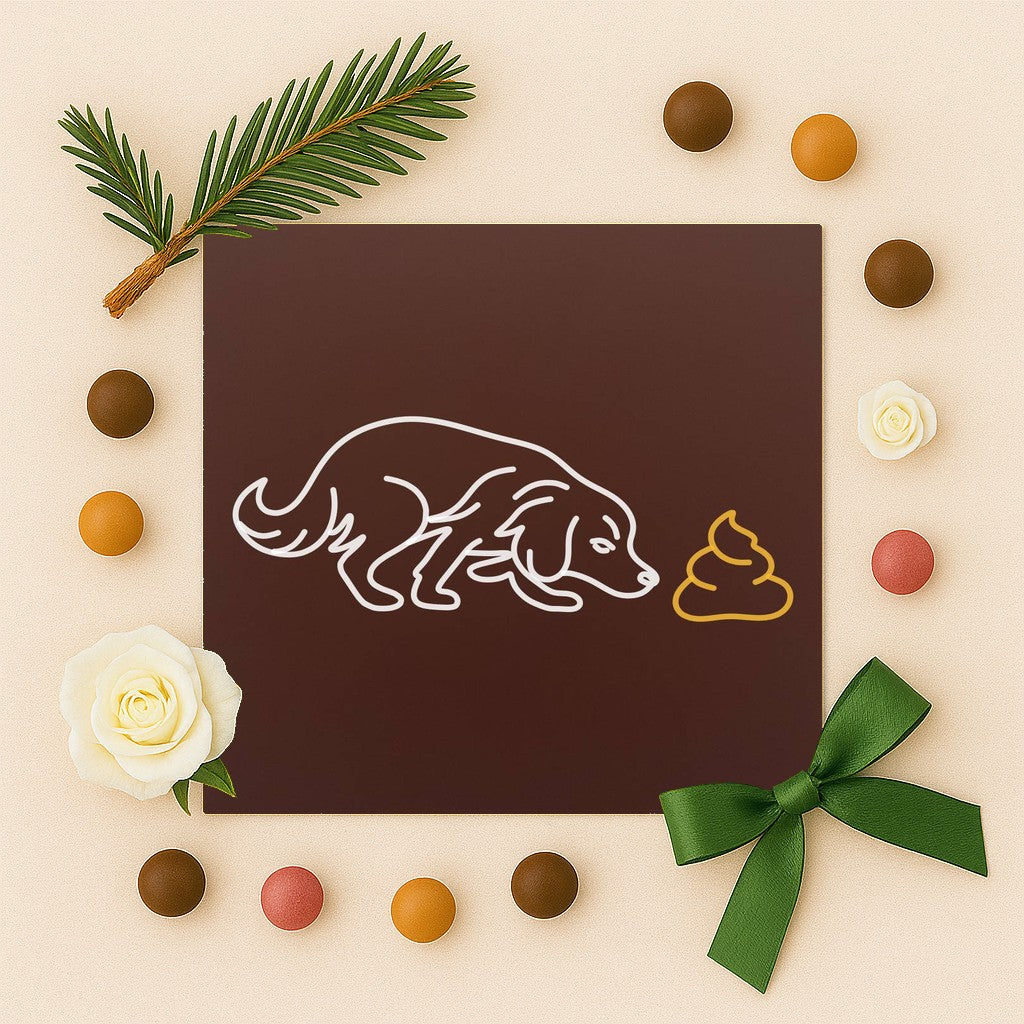 Catel curios si... oops