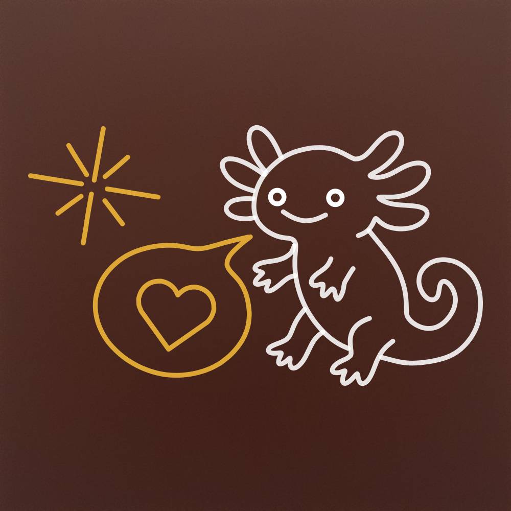 Tableta din ciocolata - Pockemon Salamandra Pet - model linework