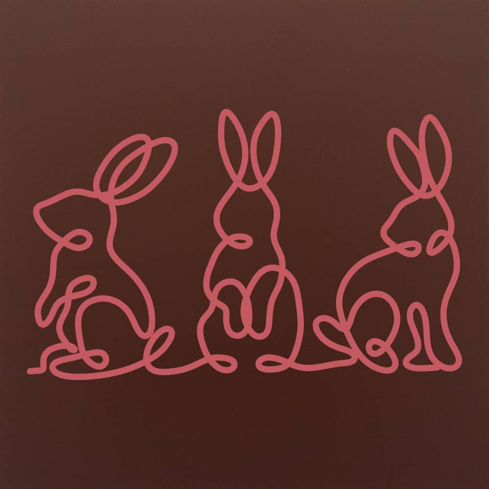 Iepurasi in ciocolata